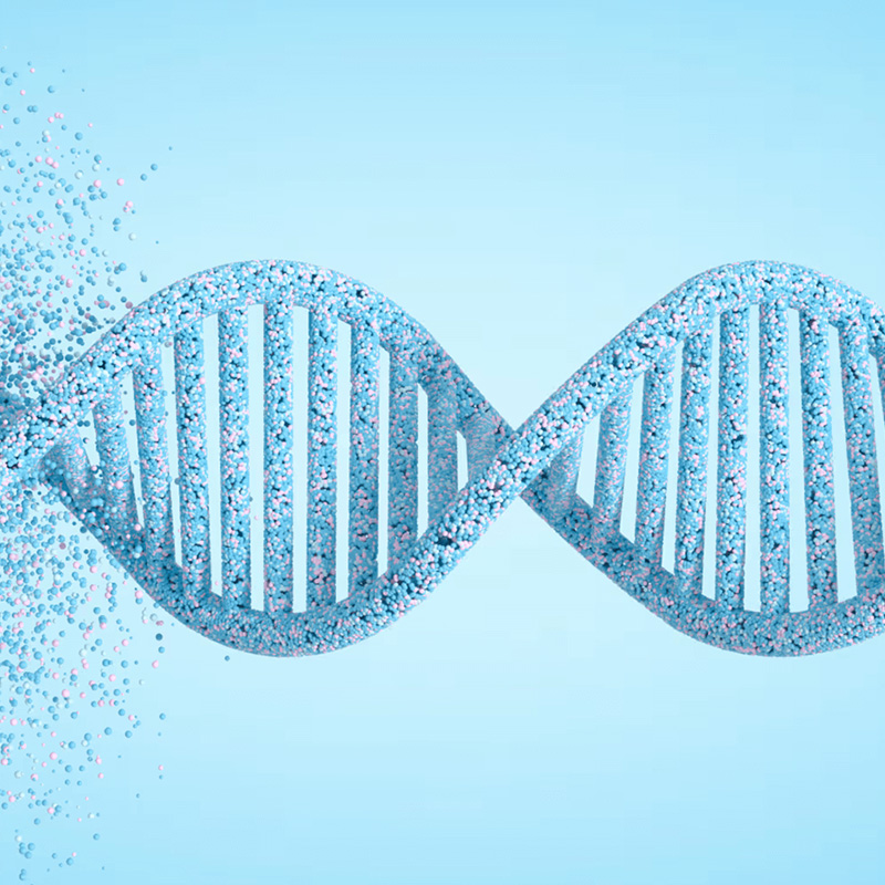 Dna Helix Molecule